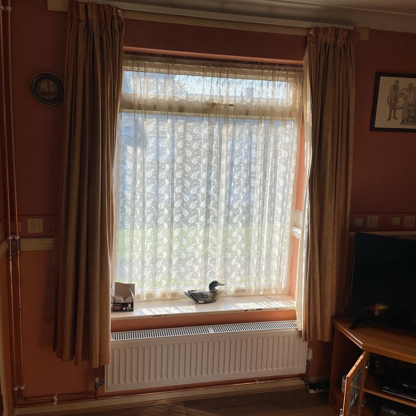Radiator fitted to a finished wall during a Basingstoke central heating installation
