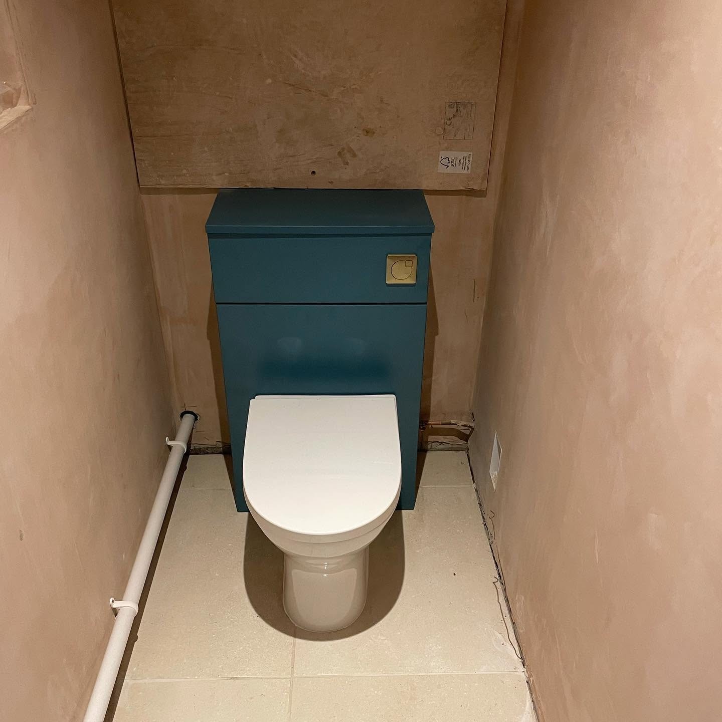 Concealed cistern toilet unit with brass flush plate installed in a cloakroom